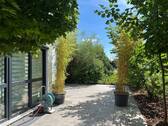 Umlaufende Terrasse - 