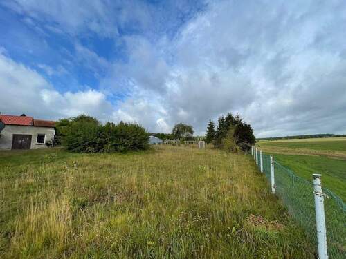 004020156800_302_298_12092023184657344 - 