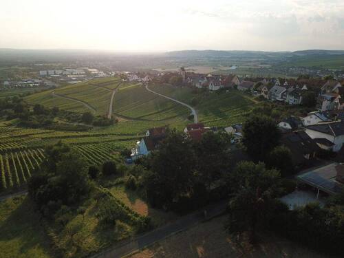Blick über Ötlingen - 