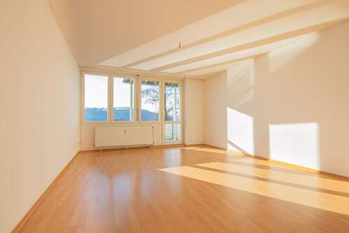 Wohnzimmer - 2 Zimmer Etagenwohnung zum Kaufen in Waldshut-Tiengen