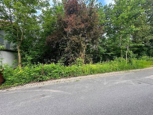 Straßenansicht - Grundstück zum Kaufen in Schönau