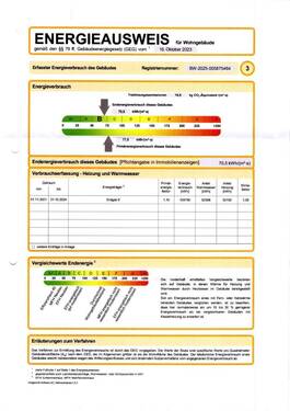 Energieausweis - 
