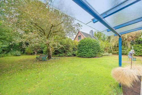 Blick in den Garten - 