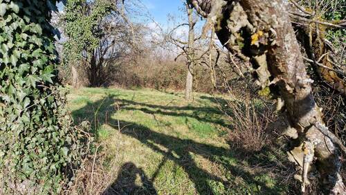 Garten - Einfamilienhaus mit 136,00 m² in Ölbronn-Dürrn zum Kaufen