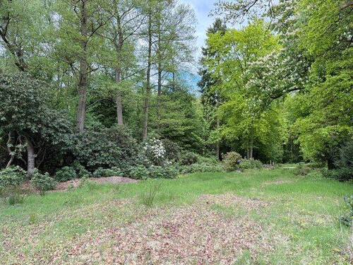 Bild 1 - 'Direkt am Wald' - herrlicher ca. 1.002 m² Bauplatz für Einfamilien- oder Doppelhaus