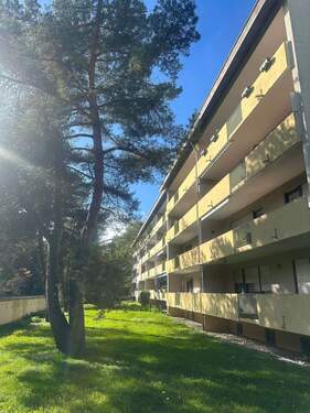 Wohnanlage im Sonnenschein - Attraktive 3-Zimmer-Wohnung am Waldrand von Singen-Nord - mit großem Balkon und Einzelgarage