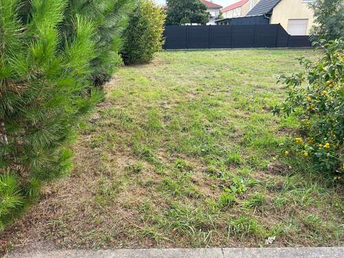 Natürliche Begrenzung durch Bäume und Hecken möglich - 