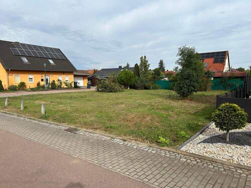 Blick auf Grundstück und angrenzenden Fußweg - Grundstück zum Kaufen in Oranienbaum-Wörlitz