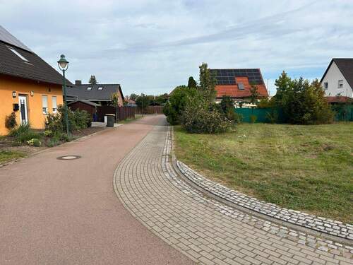 Blick auf die Siedlung - Einbettung des Grundstücks in die gepflegte Nachbarschaft - Grundstück in Oranienbaum-Wörlitz zum Kaufen