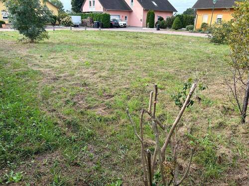 Blick auf die Siedlung - Einbettung des Grundstücks in die gepflegte Nachbarschaft - 