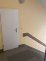 IMG_1380.jpeg - 