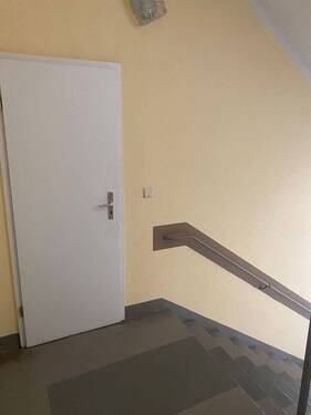 IMG_1380.jpeg - 