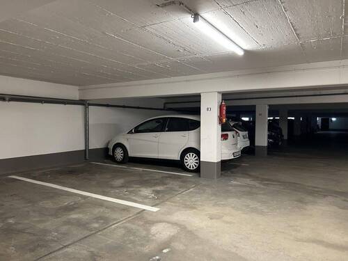 Stellplatz - 