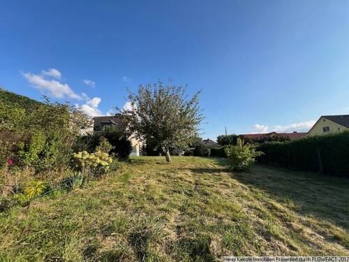 Bild 4 - Grundstück in Herzfelde zum Kaufen