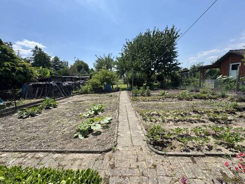 Gartenimpressionen2 - 