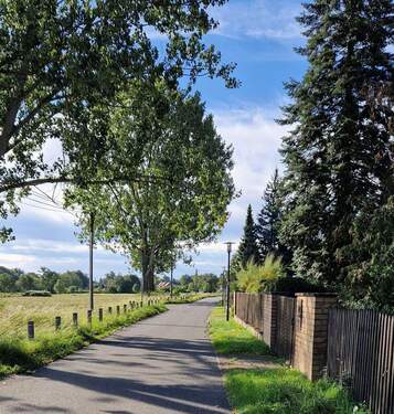 Hönow Bamberger Str. 13 Bild 3.jpg - Grundstück zum Kaufen in Hoppegarten