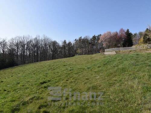 Ansicht Grundstück - Grundstück in Crimmitschau zum Kaufen