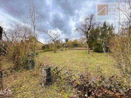 Garten, aktuelles Bild 3 - 