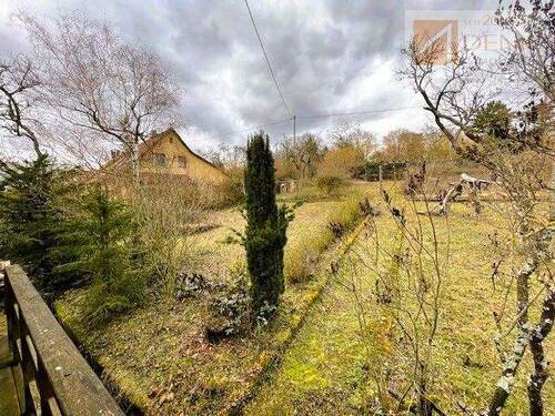 Garten, aktuelles Bild 2 - 