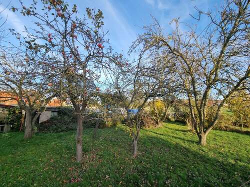 Haus- und Grundstücksansicht - 4 Zimmer Doppelhaushälfte in Zirkow