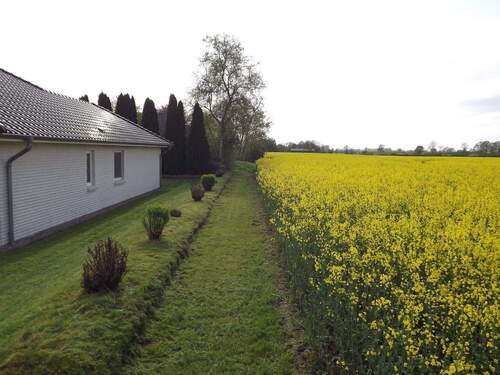 Nordansicht Feldrandlage - Bungalow mit 150,00 m² in Böel zum Kaufen