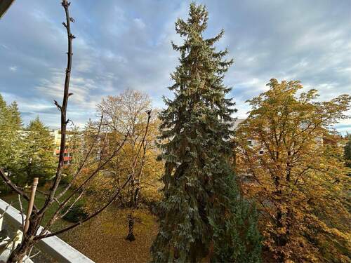 Ausblick vom Balkon - 