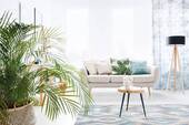 Wohnzimmer-Ambiente.jpg - 