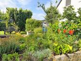 Pflanzenbestand - 