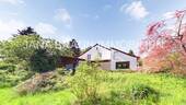 Garten hinter dem Haus - 
