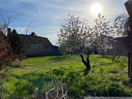 schöner Garten - 8 Zimmer Einfamilienhaus zum Kaufen in Jessen