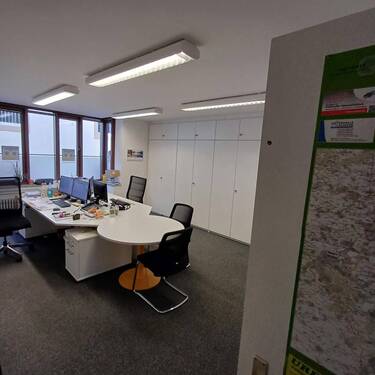 WhatsApp Image 2025-02-04 at 15.31.26 (2).jpeg - 