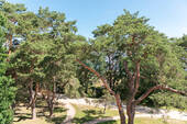 Bild 20 - 