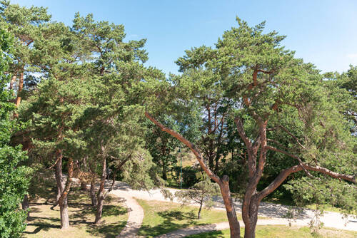 Bild 20 - 