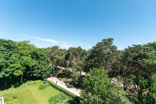 Bild 17 - 
