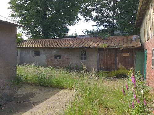 Schuppen - 