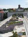 allgemeiner Dachgarten - 