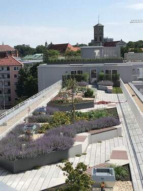 allgemeiner Dachgarten - 