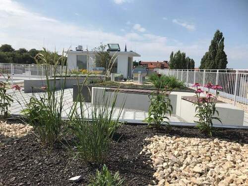 allgemeiner Dachgarten - 