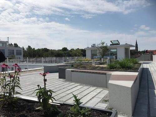 allgemeiner Dachgarten - 