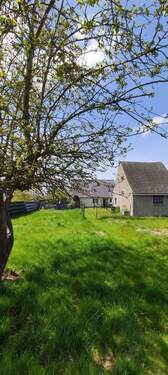 Grundstück mit Stallung - 