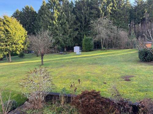 Blick in den Garten - 