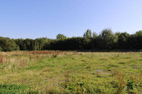 Bild1 - Baugrundstück mit Südausrichtung in Butjadingen-Eckwarden
