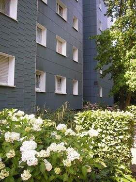 Blumenbeet - 
