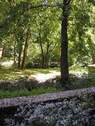 Außenanlagen (2) - 