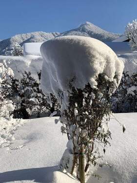 Blick auf den Geierstein - 5 Zimmer Doppelhaushälfte in Lenggries