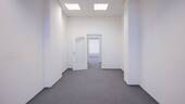 Teambüro (Size XL) - 