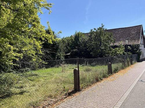 Bild 3 - Grundstück in Meißenheim