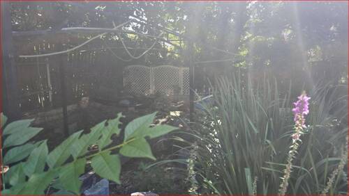 Garten mit Teich - Etagenwohnung mit 35,00 m² in Pforzheim zum Kaufen