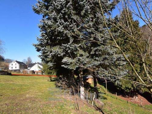 Ansicht - Grundstück in Krumhermersdorf