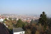 Blick ins Neckartal - 